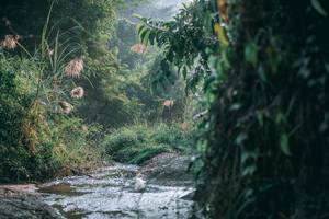 BIB: 
                            <button type="button" onclick="openModal(13716639)" class="btn btn-primary btn-sm float-right btn-popup" data-toggle="modal" data-target=".modal-high-quality">
                        <i class="fas fa-shopping-cart"></i> Add to Cart
                    </button>
                                            <button type="button" onclick="isThisMe(13716639, true)" class="btn btn-success btn-sm float-right btn-popup btn-isme hidden" data-toggle="tooltip" data-placement="bottom" title="นี่คือรูปของคุณใช่ไหม คลิกที่นี่เพื่อเอาเข้าอัลบั้ม">
                        <i class="fas fa-plus"></i> Add to album
                    </button>
                    <button type="button" onclick="isThisMe(13716639, false)" class="btn btn-warning btn-sm float-right btn-popup btn-isnotme hidden">
                        <i class="fas fa-ban"></i> Remove from album
                    </button>